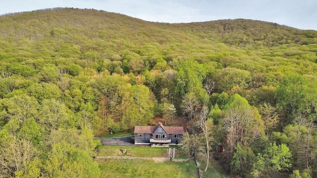36 Blue Grass Ln, Beacon, NY 12508 - photo 2