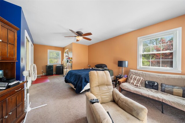 2 Fawn Ridge Ct, Harriman, NY 10926 - photo 24
