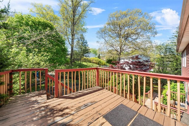 2 Fawn Ridge Ct, Harriman, NY 10926 - photo 41