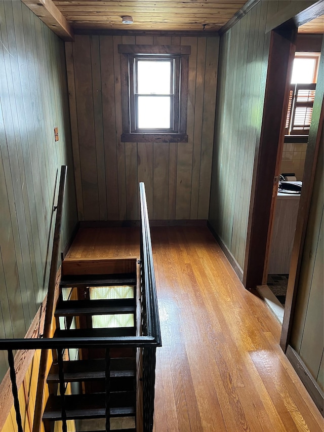 8 Alexine Ave, East Rockaway, NY 11518 - stairs featuring wood finished floors, wood walls, and wood ceiling
