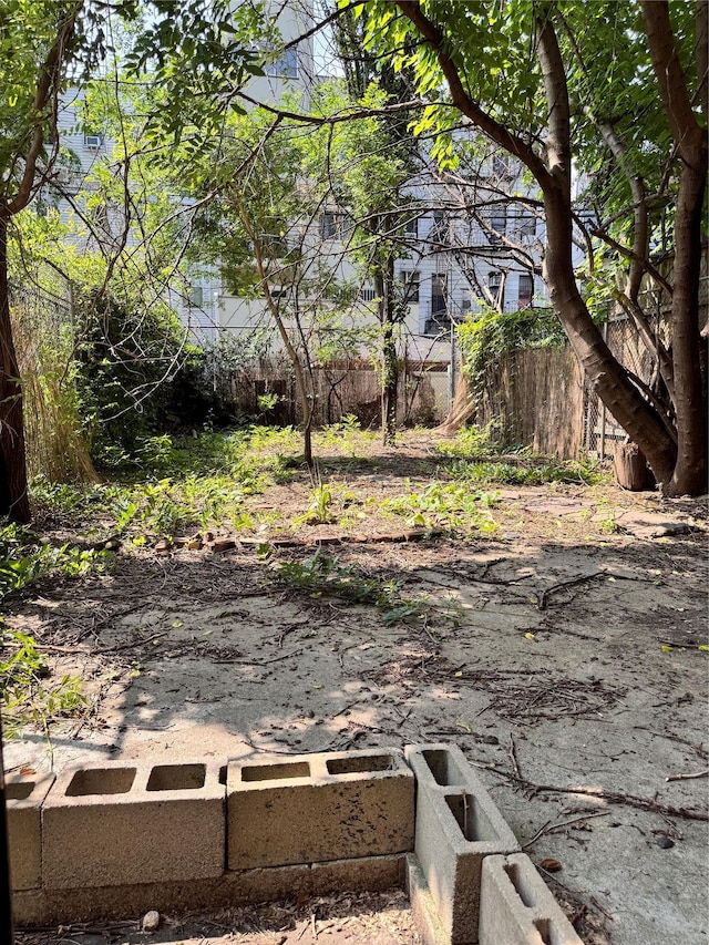 21 Jefferson St, Brooklyn, NY 11206 - view of yard