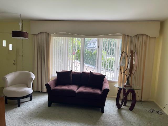 23 Elm St, Garnerville, NY 10923 - living room featuring light carpet
