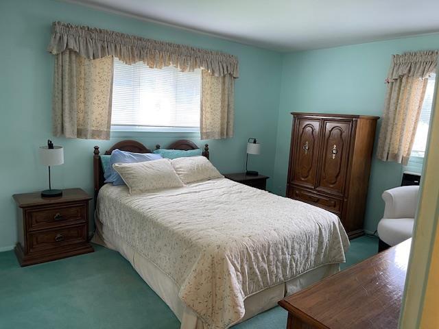 23 Elm St, Garnerville, NY 10923 - bedroom with light colored carpet