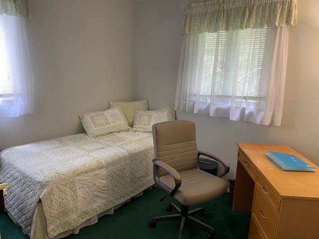 23 Elm St, Garnerville, NY 10923 - carpeted bedroom featuring multiple windows and an office area