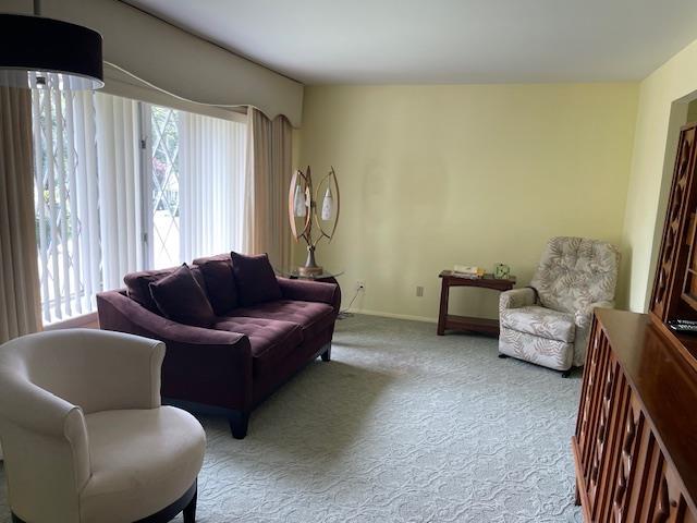 23 Elm St, Garnerville, NY 10923 - carpeted living area with plenty of natural light