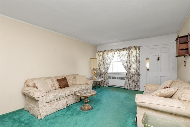 475 Emerson St, Uniondale, NY 11553 - living room with radiator heating unit and carpet flooring