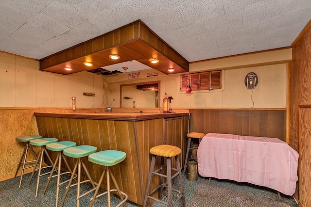 475 Emerson St, Uniondale, NY 11553 - indoor wet bar with carpet, wooden walls, and a wainscoted wall