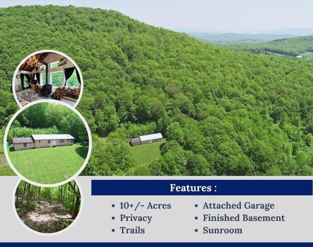 719 Sunrise Mountain Rd, Bloomville, NY 13739 - photo 1