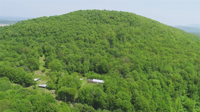 719 Sunrise Mountain Rd, Bloomville, NY 13739 - photo 3
