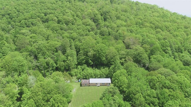 719 Sunrise Mountain Rd, Bloomville, NY 13739 - photo 4