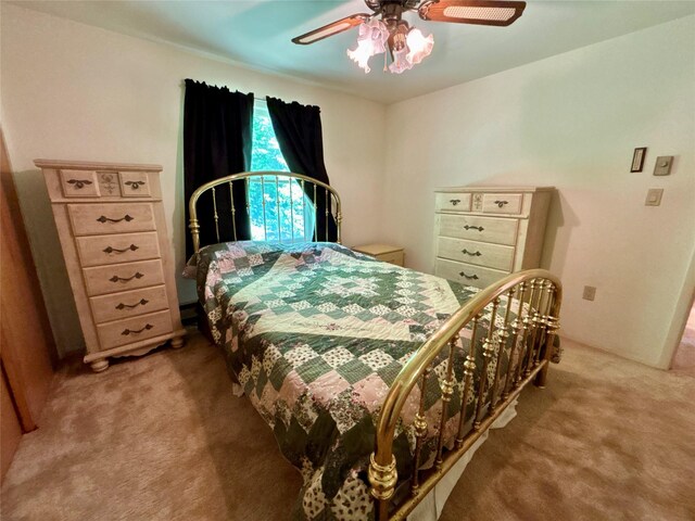 719 Sunrise Mountain Rd, Bloomville, NY 13739 - photo 19