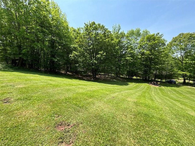 719 Sunrise Mountain Rd, Bloomville, NY 13739 - photo 29