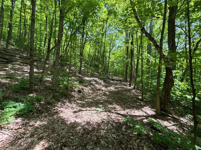 719 Sunrise Mountain Rd, Bloomville, NY 13739 - photo 31