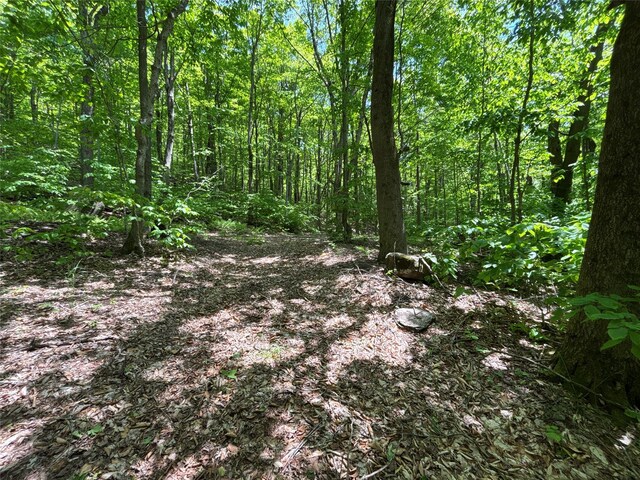 719 Sunrise Mountain Rd, Bloomville, NY 13739 - photo 32
