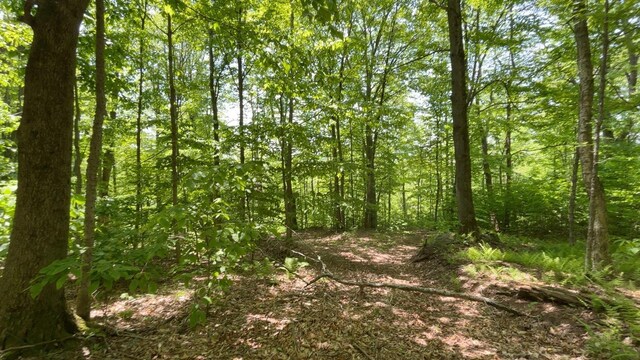 719 Sunrise Mountain Rd, Bloomville, NY 13739 - photo 33