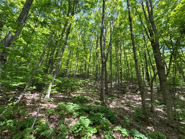719 Sunrise Mountain Rd, Bloomville, NY 13739 - photo 34