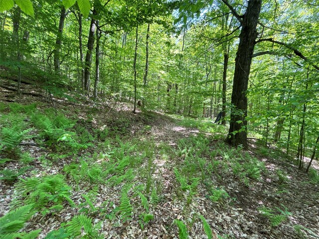 719 Sunrise Mountain Rd, Bloomville, NY 13739 - photo 35