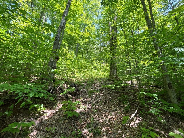 719 Sunrise Mountain Rd, Bloomville, NY 13739 - photo 36
