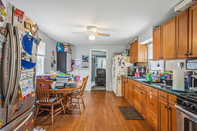 227 N Railroad Ave, Babylon, NY 11702 - kitchen featuring appliances with stainless steel finishes, healthy amount of natural light, ceiling fan, and light wood finished floors