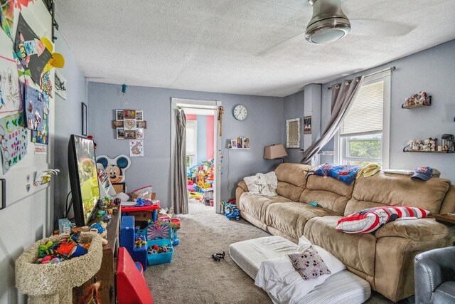 227 N Railroad Ave, Babylon, NY 11702 - carpeted living room with a textured ceiling