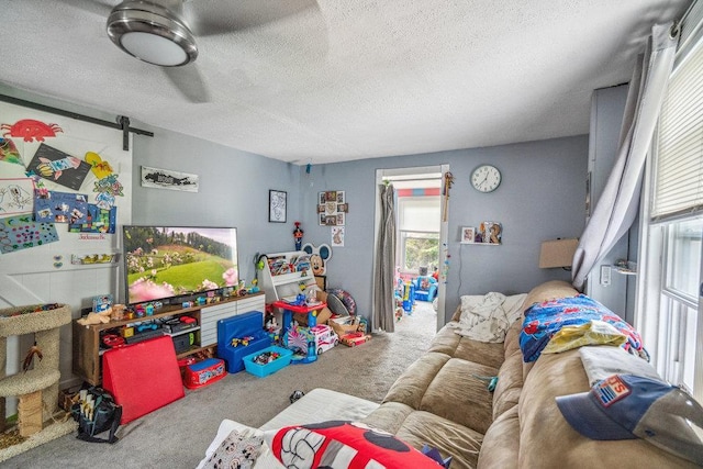 227 N Railroad Ave, Babylon, NY 11702 - carpeted living room featuring healthy amount of natural light, a textured ceiling, and a barn door