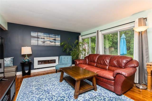 52 Newkirk Rd, Yonkers, NY 10710 - living room featuring a glass covered fireplace and wood finished floors