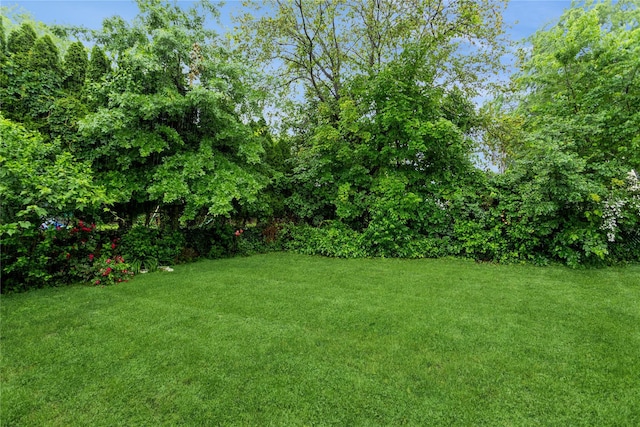 52 Newkirk Rd, Yonkers, NY 10710 - view of green lawn