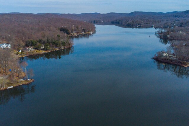 23 Cedar Ledges, Putnam Valley, NY 10579 - water view featuring a mountain backdrop and a heavily wooded area