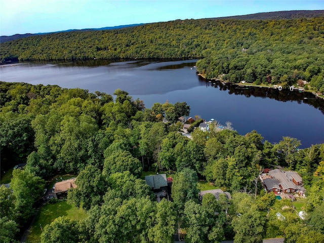 23 Cedar Ledges, Putnam Valley, NY 10579 - view of property location with a forest and a large body of water