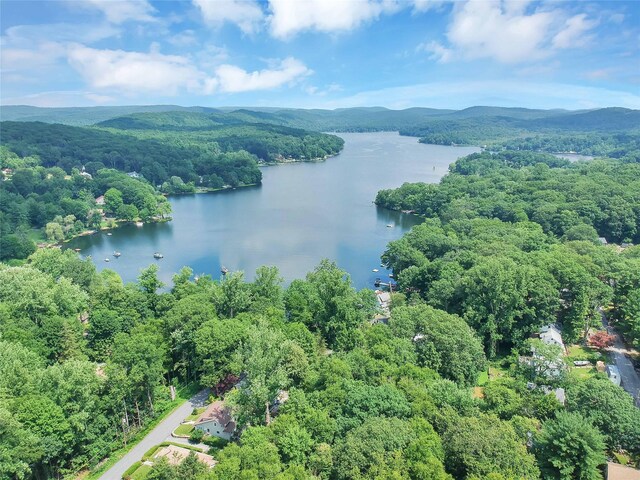 23 Cedar Ledges, Putnam Valley, NY 10579 - aerial view of a water and mountain view and a heavily wooded area