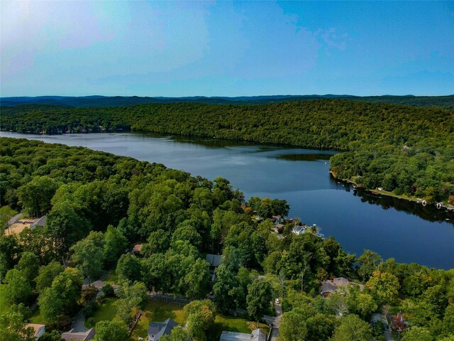23 Cedar Ledges, Putnam Valley, NY 10579 - drone / aerial view of a heavily wooded area and a nearby body of water