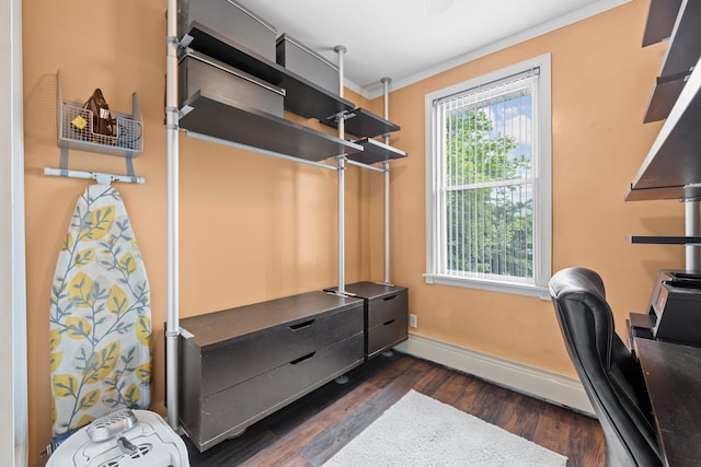 78-32 76th St, Glendale, NY 11385 - home office with baseboards, dark wood-style floors, and crown molding