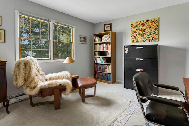 38 Sunset Dr, Brewster, NY 10509 - office featuring carpet and baseboards
