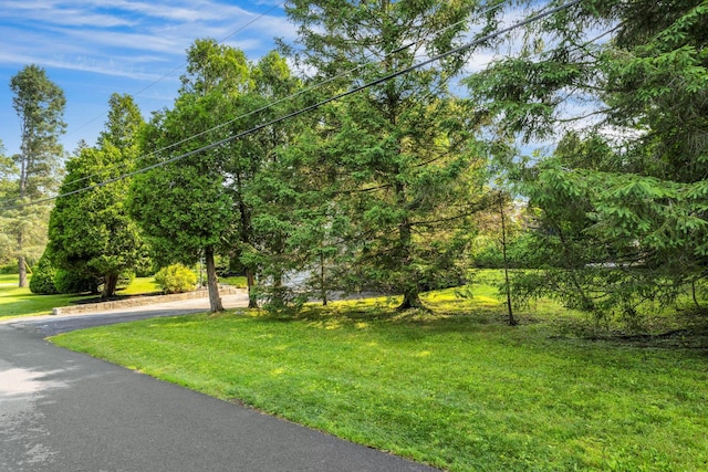 38 Sunset Dr, Brewster, NY 10509 - view of grassy yard featuring driveway