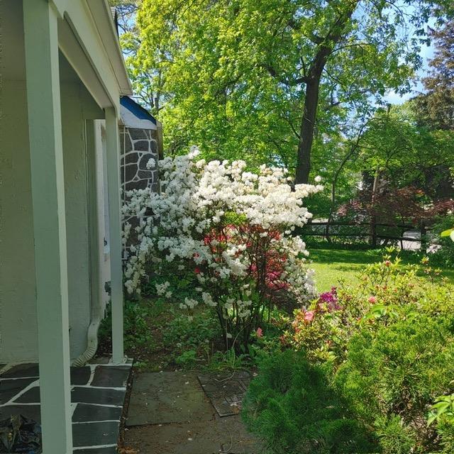 163 Scarcliffe Dr, Malverne, NY 11565 - photo 5