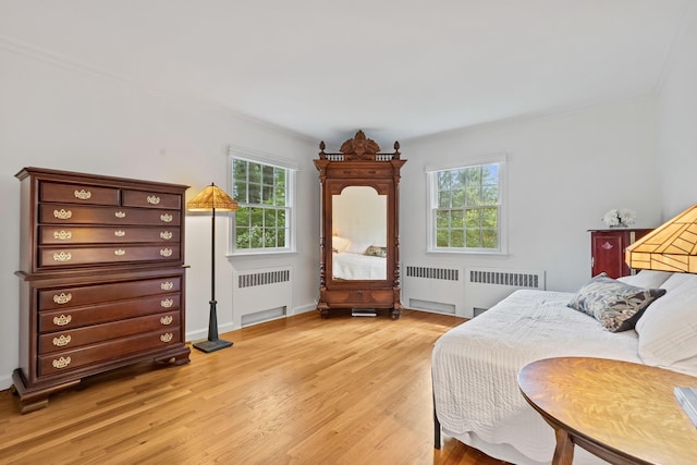 5 Ridgeview Dr, Pleasantville, NY 10570 - bedroom with radiator heating unit, multiple windows, and light wood finished floors