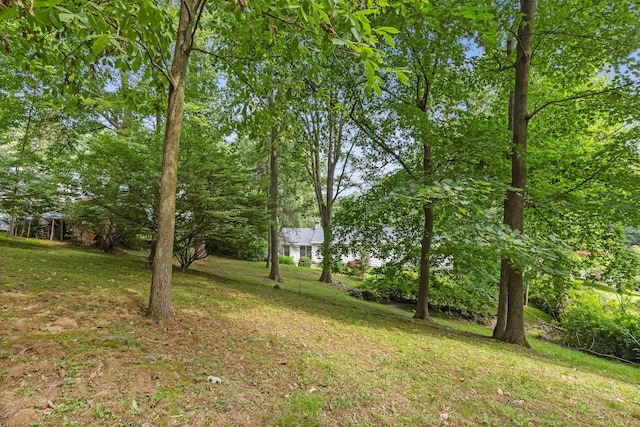 5 Ridgeview Dr, Pleasantville, NY 10570 - view of grassy yard