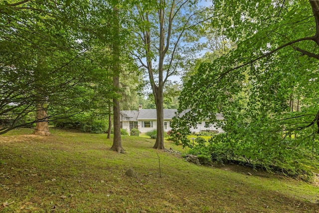 5 Ridgeview Dr, Pleasantville, NY 10570 - view of green lawn