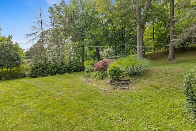5 Ridgeview Dr, Pleasantville, NY 10570 - view of green lawn