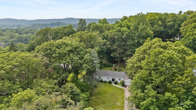 5 Ridgeview Dr, Pleasantville, NY 10570 - view from above of property with a heavily wooded area