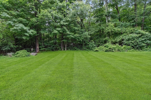 2 SE Ct, Wallkill, NY 12589 - view of grassy yard with a view of trees