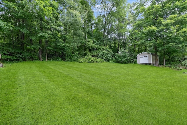 2 SE Ct, Wallkill, NY 12589 - view of green lawn with a shed and a wooded view