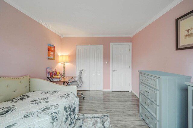 460 Old Town Rd Unit 10A, Port Jefferson Station, NY 11776 - bedroom featuring crown molding, light wood-style flooring, and a closet