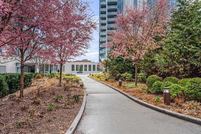 133-36 37th Ave Unit 11H, Flushing, NY 11354 - view of community
