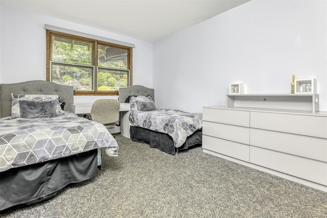 78 College Rd, Monsey, NY 10952 - carpeted bedroom with a baseboard radiator
