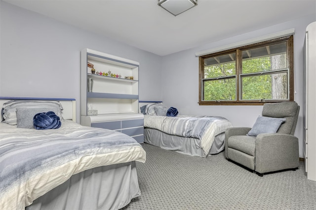 78 College Rd, Monsey, NY 10952 - view of carpeted bedroom