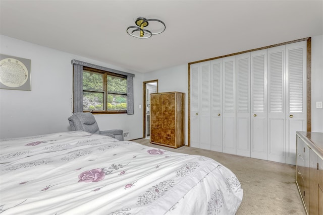 78 College Rd, Monsey, NY 10952 - bedroom with a closet and light carpet