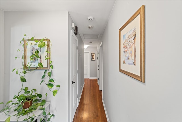 62 Murray Ave, Yonkers, NY 10704 - hallway featuring dark wood-style floors and baseboards