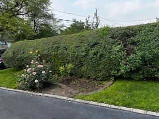 8 Hickory St, Central Islip, NY 11722 - photo 8