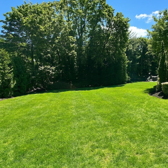 1 Ada Ln, East Setauket, NY 11733 - view of green lawn